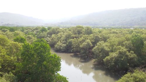 Scenic view of river