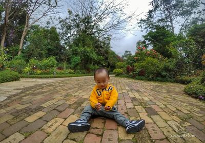 Boy sitting on tree