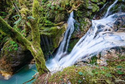 Stream flowing through rocks