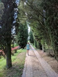 Rear view of man walking on footpath in forest