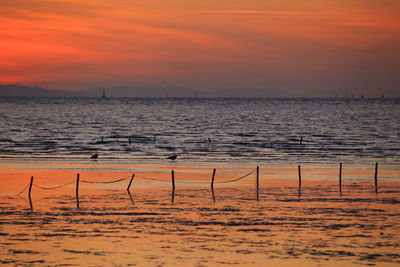 Scenic view of sea against orange sky