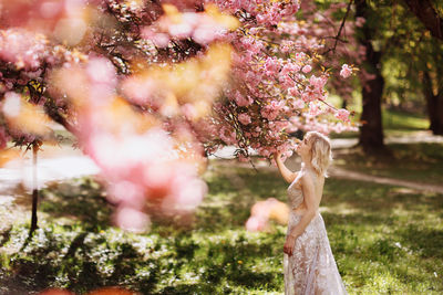 Woman standing by pink flowering tree