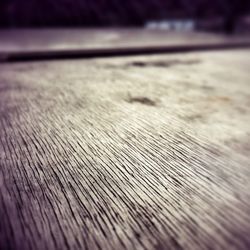 Close-up of wooden surface