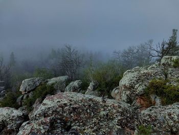 View of rocks and trees against sky