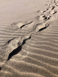 Windblown valleys in the fine sand of the dunes create a beautiful texture light and shadow