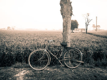 Bicycle parked by tree against sky