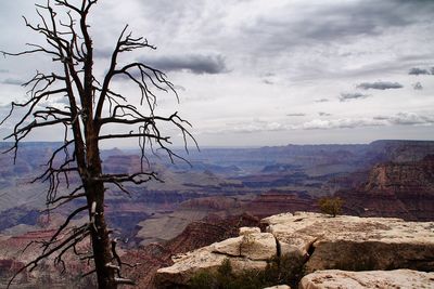 Scenic view of landscape against cloudy sky