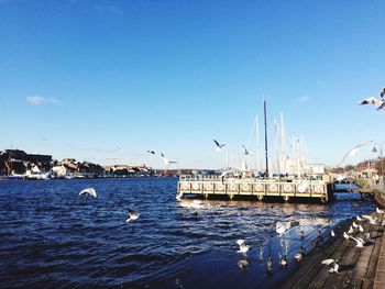 View of boats in harbor