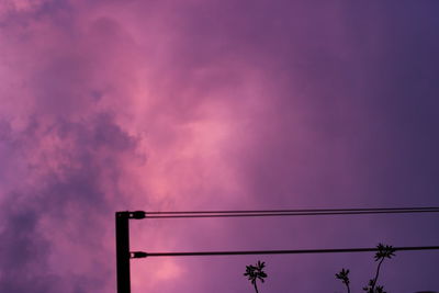 Low angle view of silhouette plant against sky during sunset