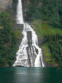 Scenic view of waterfall in forest