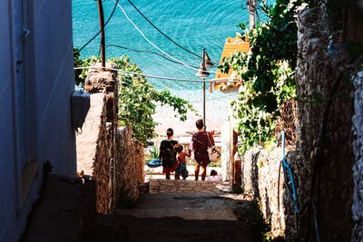 Rear view of people walking on walkway along plants