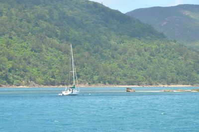 Boats sailing in sea