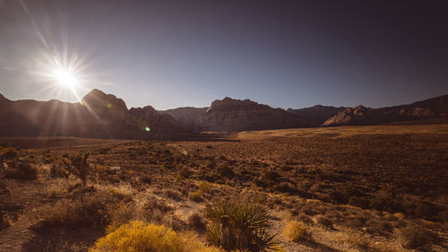 Scenic view of landscape against bright sun