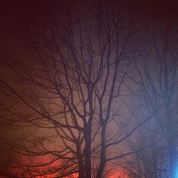 Low angle view of bare trees against sky