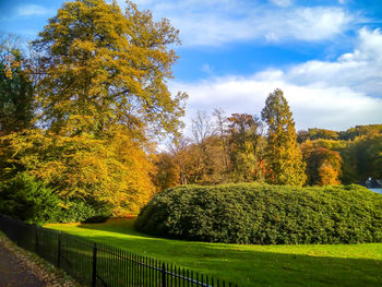 Trees against sky during autumn