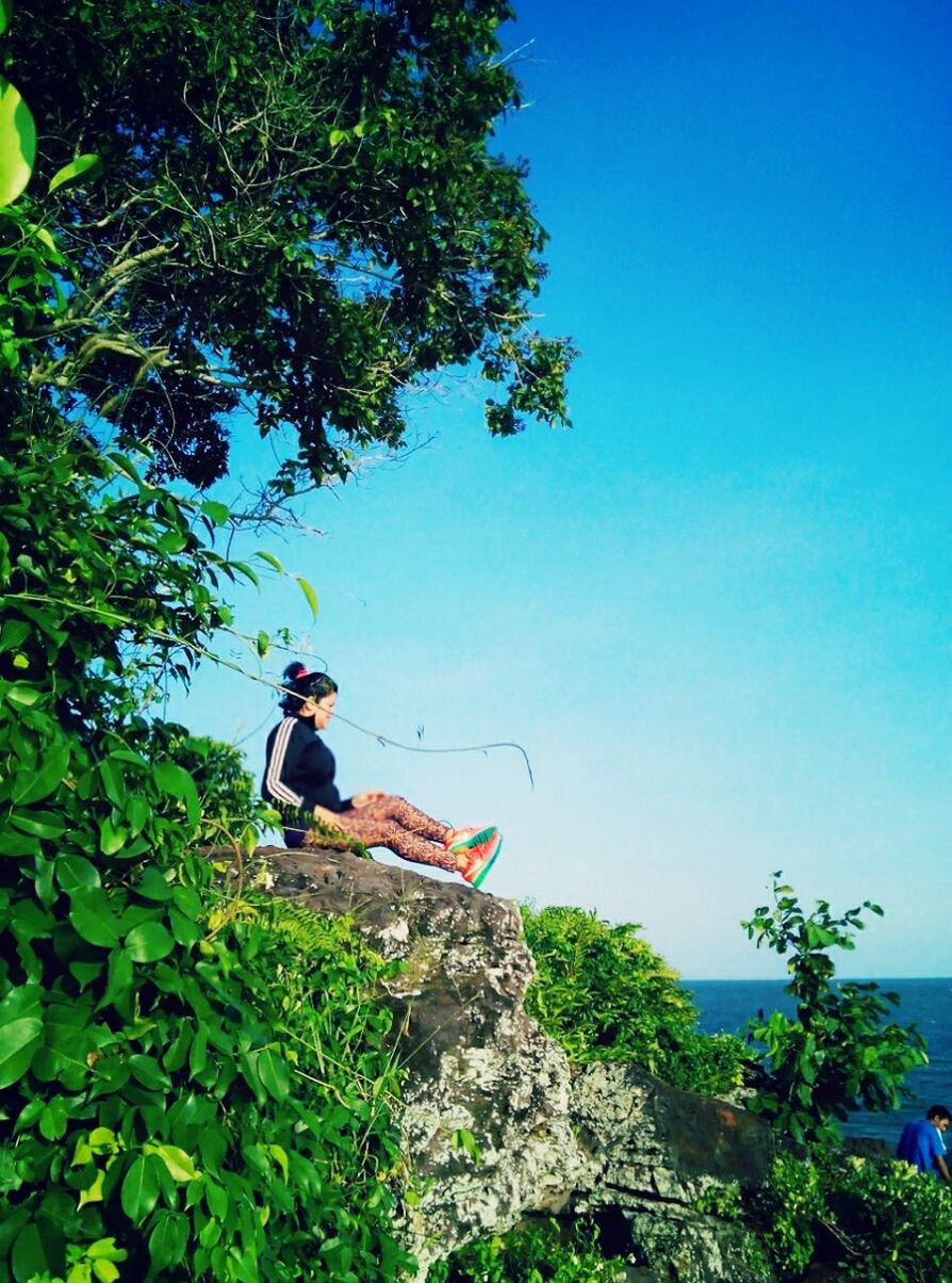 lifestyles, leisure activity, tree, clear sky, men, full length, casual clothing, rear view, sitting, blue, low angle view, young men, rock - object, nature, young adult, plant, green color