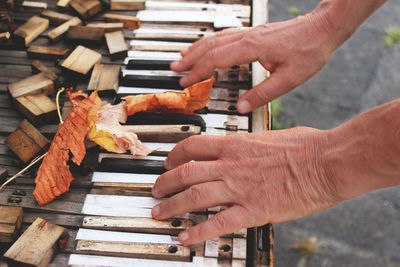 Close-up of hand holding hands