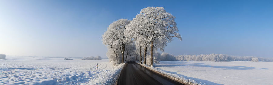 View of a snow-covered country road in winter with sunshine and blue sky