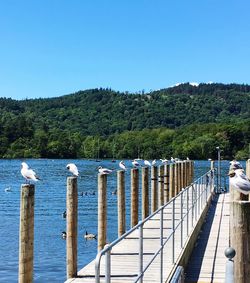 Scenic view of lake against clear blue sky