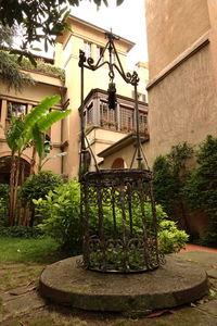 Plants in balcony against house