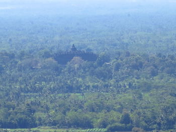 High angle view of trees on landscape