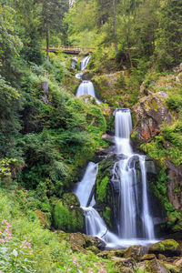 Scenic view of waterfall