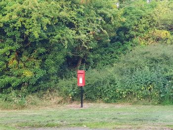 Road sign on field