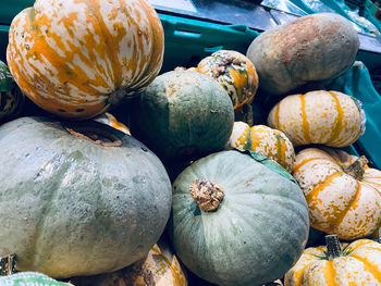 Pumpkins for sale