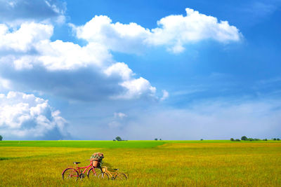 Scenic view of agricultural field against sky