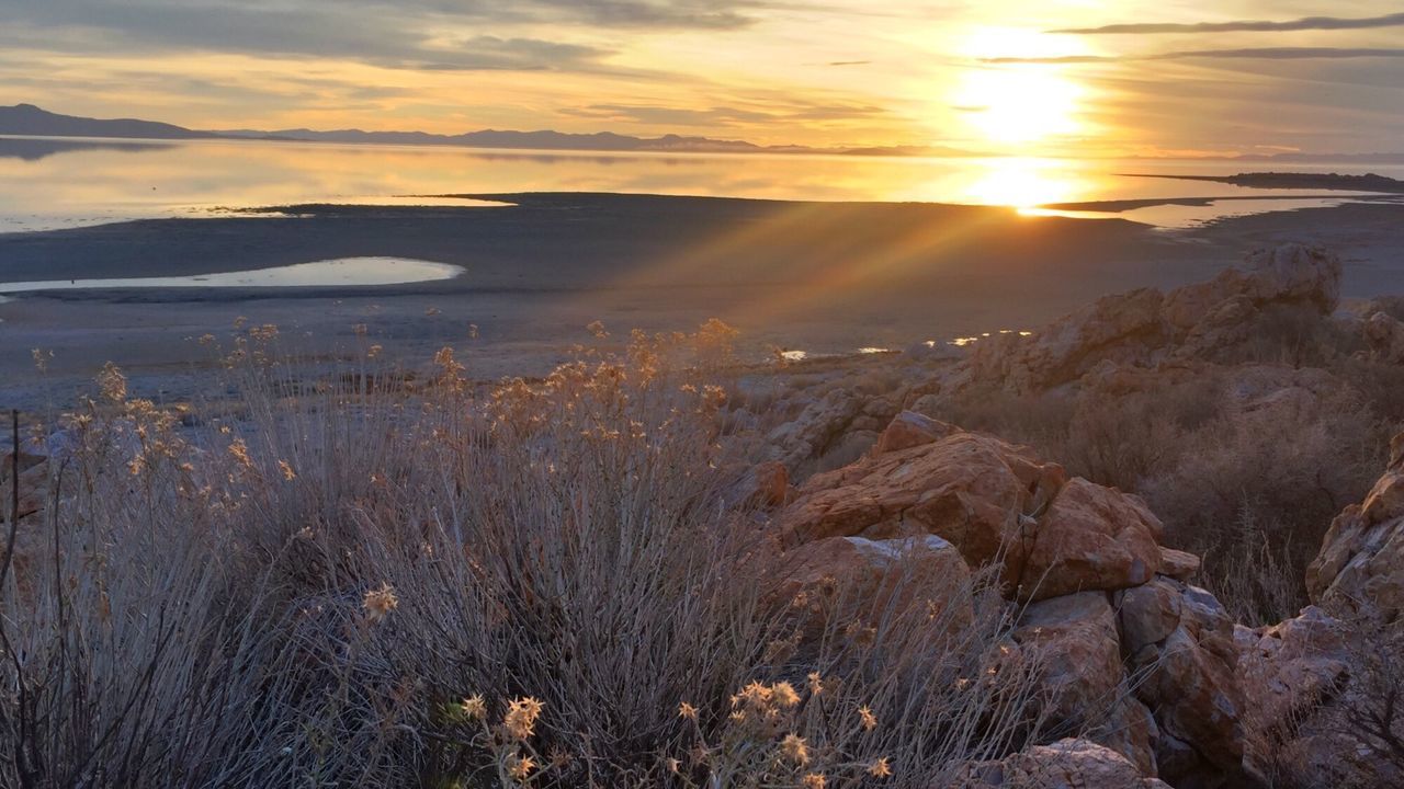 Antelope island salt lake