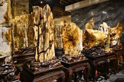 The very precious silicified wood in xinjiang originated from the jurassic period 