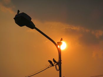 Low angle view of silhouette bird perching on street light