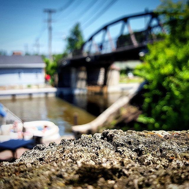 selective focus, surface level, focus on foreground, built structure, focus on background, close-up, rock - object, architecture, stone - object, day, outdoors, tree, no people, nature, railing, sunlight, plant, connection, building exterior, bridge - man made structure