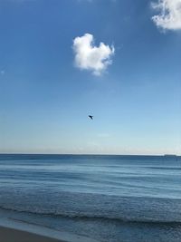 Seagull flying over sea against sky