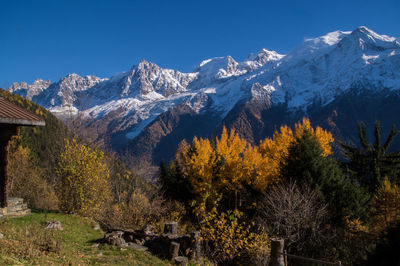 Autumn trees on field by snow covered mountains against sky