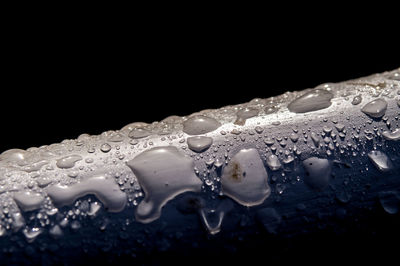 Close-up of raindrops on black background