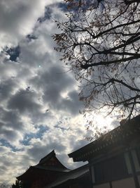 Low angle view of trees against sky in city