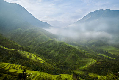 Scenic view of agricultural field against mountains