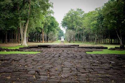 Footpath amidst trees against sky