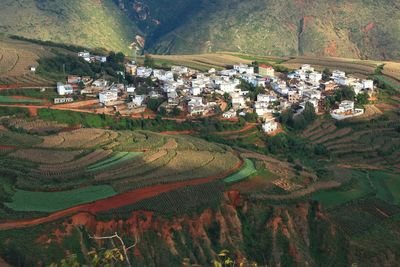 High angle view of agricultural field