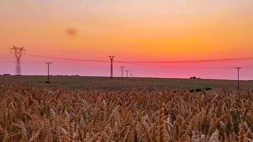 Scenic view of field against sky during sunset