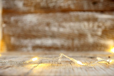 Close-up of dry leaf on wood