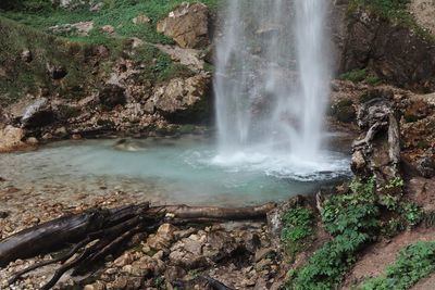 Scenic view of waterfall in forest