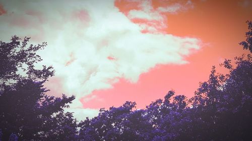 Low angle view of trees against cloudy sky