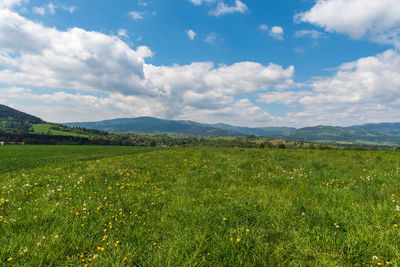 Scenic view of field against sky