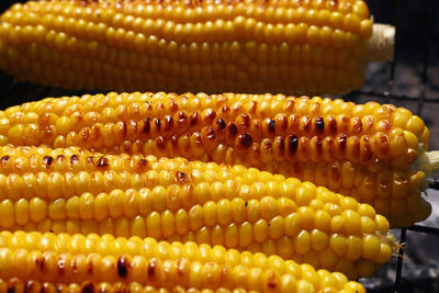 Close-up of grilled corn