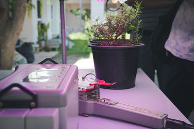 Close-up of potted plant on table