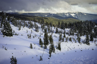 Scenic view of landscape against sky during winter