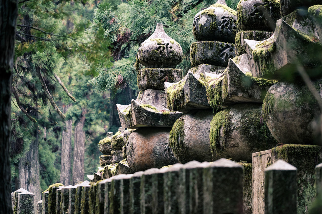 STACK OF OLD TEMPLE AGAINST TREES AT FOREST