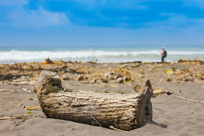 Driftwood on sand at beach against sky